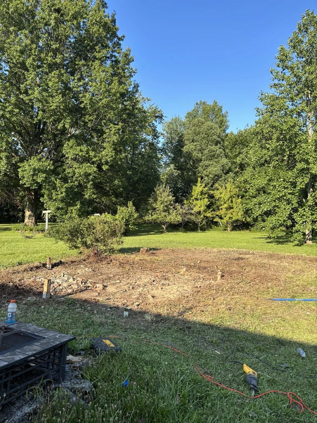 Open yard area after shed removal and clearing, with surrounding trees remaining.